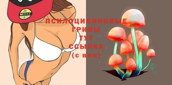 первитин Горняк