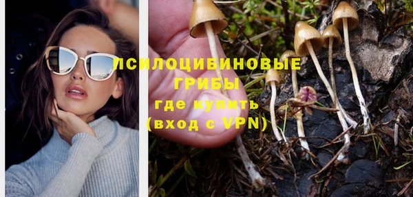 Альфа ПВП Горнозаводск
