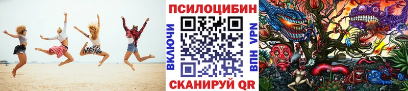 Псилоцибиновые грибы Psilocybine cubensis  Купить закладки  Сретенск 